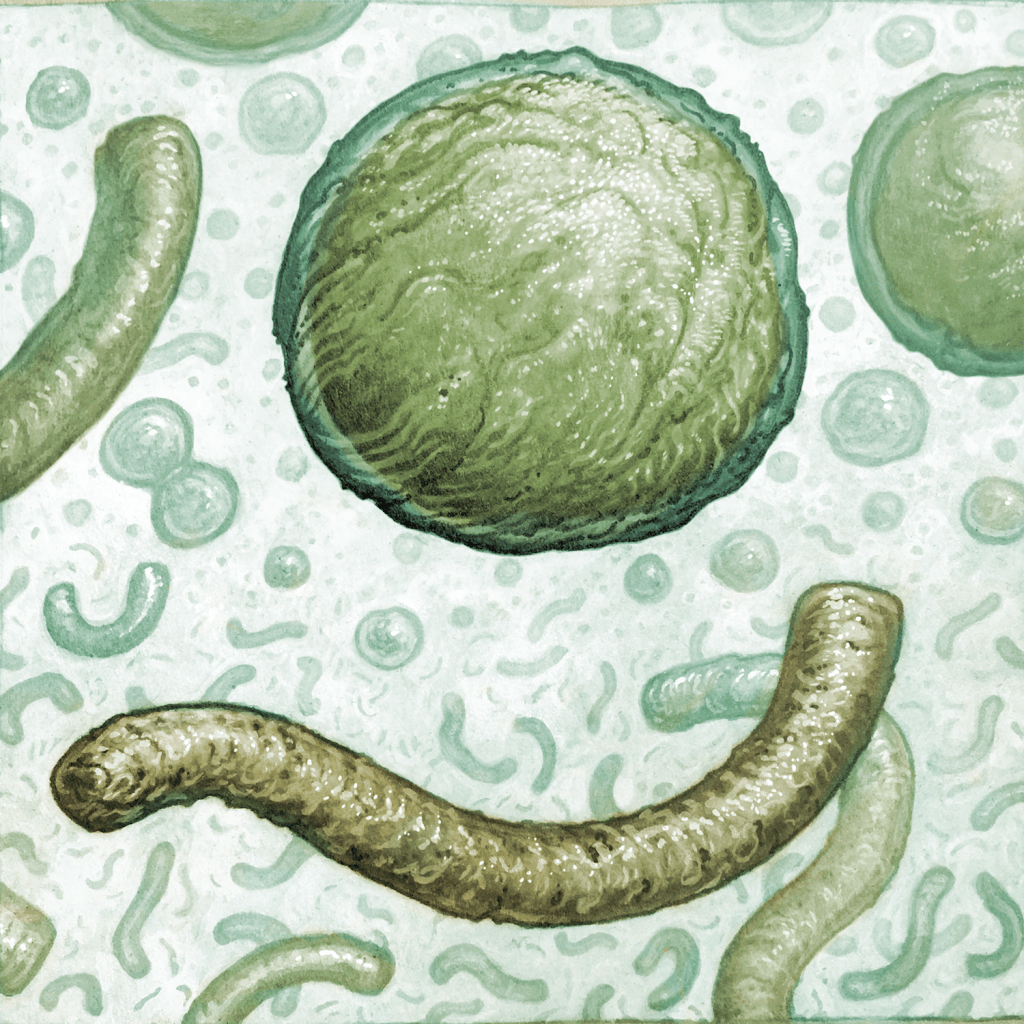 Week 14: Shape&nbsp;Up